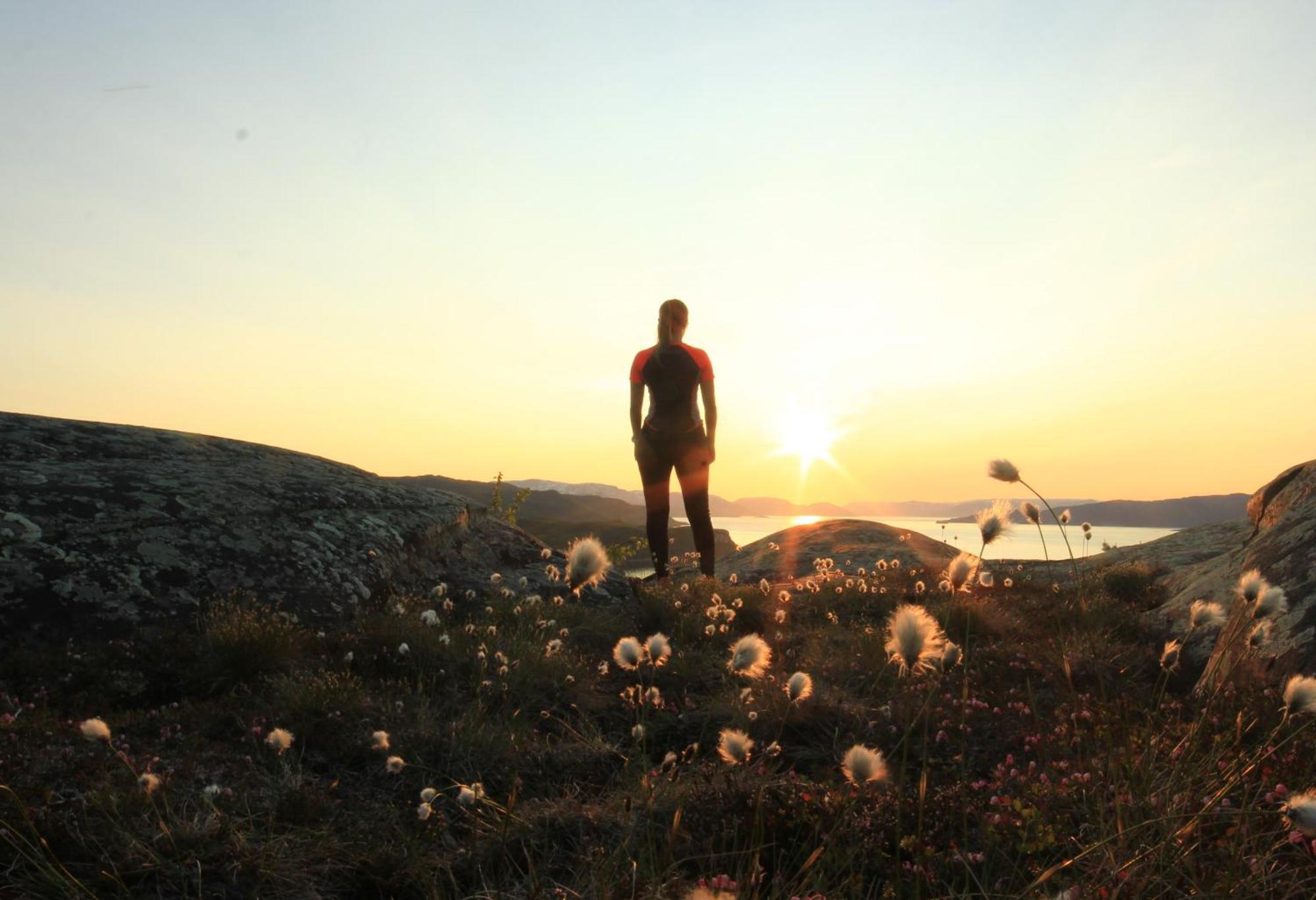Sorrisniva Arctic Wilderness Lodge Άλτα Εξωτερικό φωτογραφία
